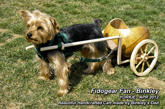 Dog Cart Harness – Fidogear