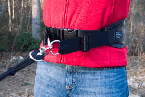 Human Skijor Belt Front