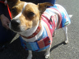 Fleece Canine Coat