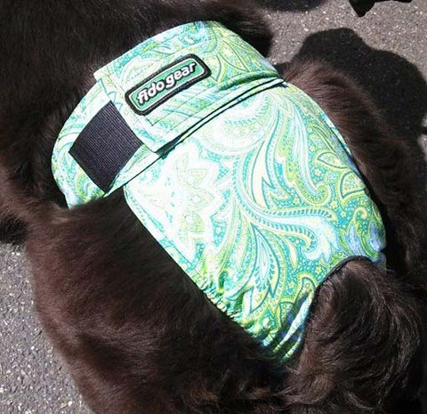 Dog Seasonal Panties