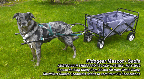 Sacco Dog Cart