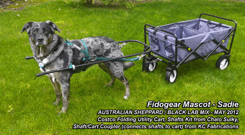 Dog carts and 2024 harnesses