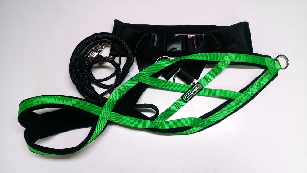 Skijor/Canicross Kit 2